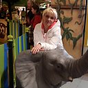 ���� �������, ������������, 63 ���� - ��������� 20 ������� 2014 � ������ ���� ����������