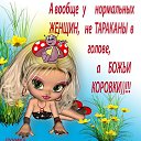 ���� �������, �������� - ��������� 24 ��� 2014 � ������ ������ ��������