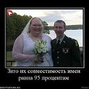 ���� ���������, ��������, 43 ���� - ��������� 25 ������ 2014 � ������ ���� ����������