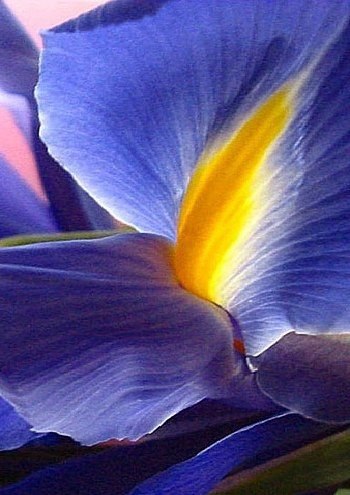   ?..        - ,   ,   , ...