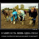 ���� ������, ������, 65 ��� - ��������� 23 ��� 2014 � ������ ������ ��������