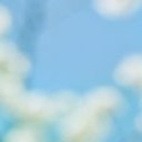  Lusi, , 44  -  27  2014    