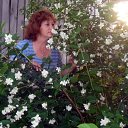 ���� ���, ��������, 60 ��� - ��������� 30 ���� 2014 � ������ ����� ��� ������������