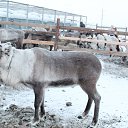 ���� ����, ������������, 70 ��� - ��������� 8 ������� 2014 � ������ ���� ����������