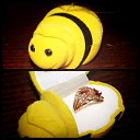 ���� ������, ������� - ��������� 15 ���� 2014 � ������ ������ ��������