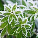 ���� Oleg, ������ - ��������� 25 ���� 2014 � ������ ������ ��������