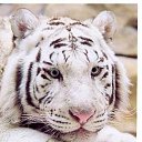 ���� �����, ������-���, 44 ���� - ��������� 9 ������ 2014 � ������ ������ ��������