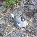 ���� �����, ������, 47 ��� - ��������� 18 ���� 2014 � ������ �������������� ������� 2013�