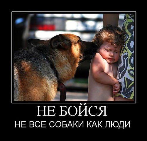 ####$$$$$$$$$#### - 5 ��� 2014 � 11:35