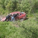 ���� ����������, �����������, 49 ��� - ��������� 15 ���� 2014 � ������ ���� ����������