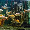  , , 46  -  24  2014      &quot; &quot;