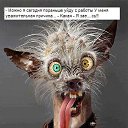 ���� ����, ������, 46 ��� - ��������� 2 ������ 2014 � ������ �)))�