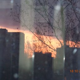 ���� ����, ���������, 37 ��� - ��������� 21 ���� 2014