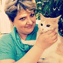 ���� �����, �����, 49 ��� - ��������� 2 ���� 2014 � ������ ���� ����������