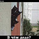 ���� ������, ������, 52 ���� - ��������� 7 ��� 2014 � ������ ������ ��������
