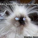 ���� �����, ������������ - ��������� 5 ������ 2014 � ������ �������, ���� ������� ��������.�