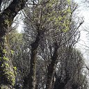 ���� �������� (�������), ������ - ��������� 20 ���� 2014 � ������ ��������