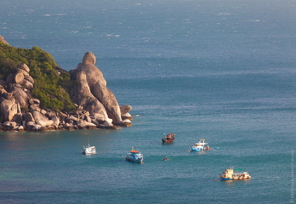 Koh Tao      ,        ... - 3