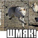 ���� �������, ��������-��-������, 48 ��� - ��������� 24 ���� 2014 � ������ ������ ��������