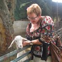 ���� �������, ���, 65 ��� - ��������� 20 ������� 2014 � ������ ���� ����������