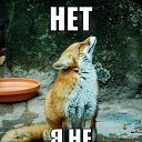 ���� Ksenia, ������, 52 ���� - ��������� 2 ������ 2014 � ������ ������ ��������