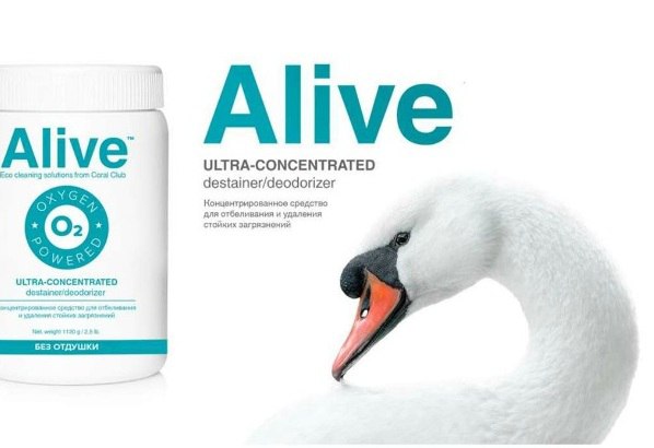 ЗДОРОВЬЕ ЗАЛОГ УСПЕХА. - 20 июля 2014 в 11:39 - 2