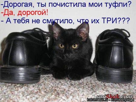 Наши любимцы :3 - 1 августа 2014 в 13:21