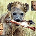 ���� ������, ���������� - ��������� 5 ��� 2014 � ������ ���� ����������