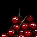 ���� �����, �������, 48 ��� - ��������� 1 ��� 2014 � ������ �Red�
