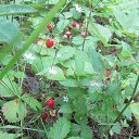 ���� ������� �� �������!!!, ��������� - ��������� 4 ���� 2014 � ������ ���� ����������