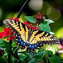 ���� �������, ��������, 58 ��� - ��������� 24 ������ 2014 � ������ ���� ����������