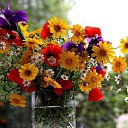 ���� �����, ���� - ��������� 22 ����� 2014 � ������ ������ ��������