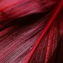 ���� �����, �������, 48 ��� - ��������� 1 ��� 2014 � ������ �Red�