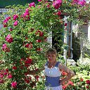 ���� ����, ����� - ��������� 12 ���� 2014 � ������ ���� ����������