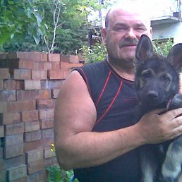 ����, �����������, 70 ���