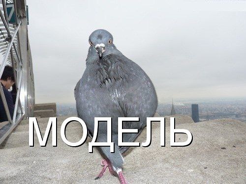 �������������� �� ���� �������� <a href=