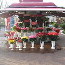 ���� �����, �����-���������, 64 ���� - ��������� 15 ��� 2014 � ������ ����� ������� -���� 2014�