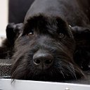 ������������ �������.......� �������� �� ���������......��. � ����� �� ������� ������ ��������