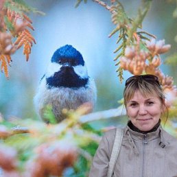 Farida, �����