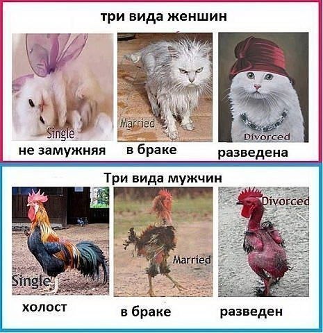 ##  ## - 24  2014  13:19