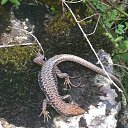  , --, 52  -  18  2014     2014