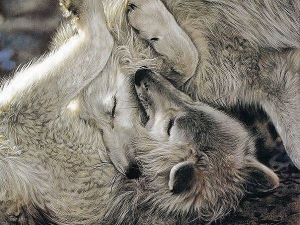 Жизнь слишком коротка, чтобы просыпаться утром с сожалениями. Так что люби тех, кто относится к тебе ...