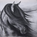  Natalia, , 62  -  30  2014    