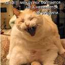 ���� Vlad, �������, 47 ��� - ��������� 29 ������ 2014 � ������ ���� ����������