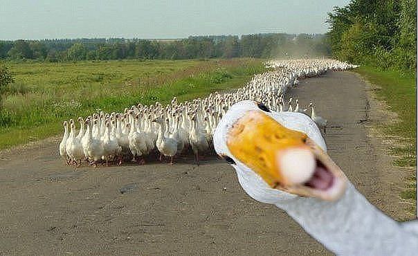 ��-��......... ������......... �� ���������........... ����....... ����....����� ...������ ����� ...