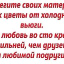 ���� ������������, ���� - ��������� 1 ��� 2014 � ������ ������ ��������