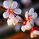 ���� �����, �����, 64 ���� - ��������� 24 ������ 2014 � ������ ������ � �����!�