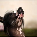 ���� �����, ����, 59 ��� - ��������� 20 ���� 2014 � ������ ������ ��������