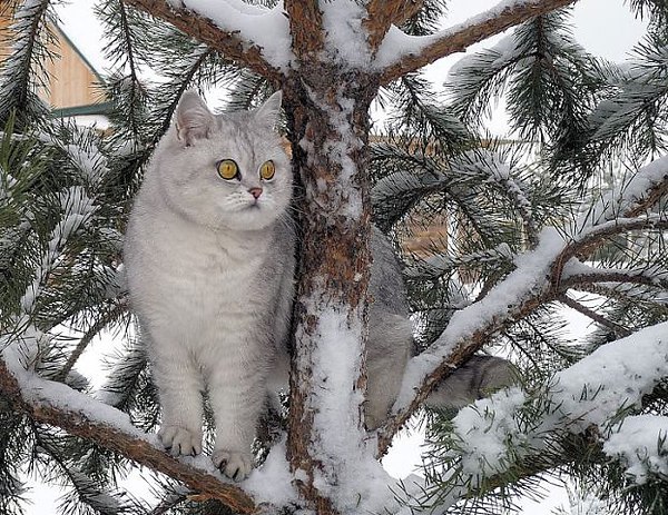 ,     ,  ??? .... ,   - 10   ...