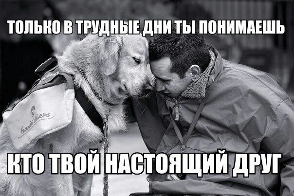   :3 - 8  2014  14:58